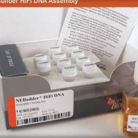 NEBuilder® 高保真 DNA 组装预混液 | NEB