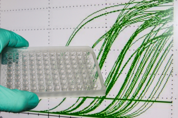 高浓度样本对ELISA标准曲线的影响机制与应对策略