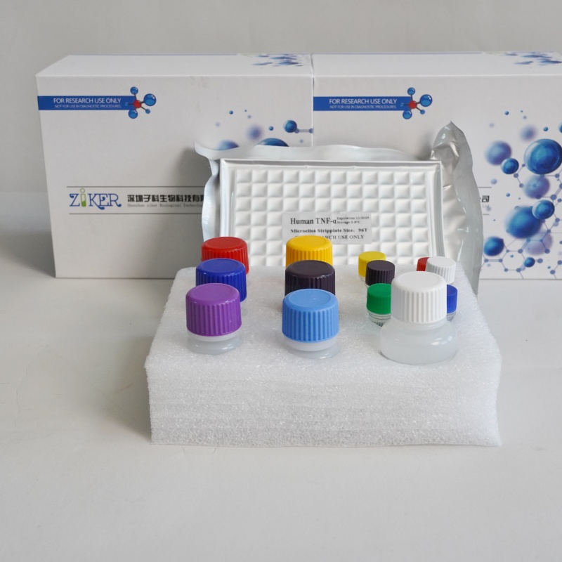 人肌腱蛋白R（TN-R）ELISA检测试剂盒