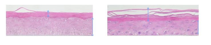 图像2026-3-18 14.20.png
