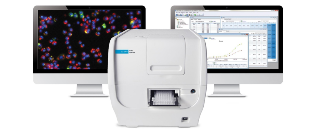 从代谢检测到功能验证，类器官表型分析你全掌握了吗？