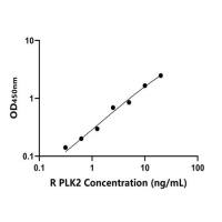 大鼠Polo样激酶2(PLK2)ELISA试剂盒