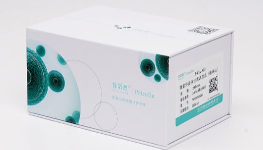 小鼠心脏微血管内皮细胞：分离培养全流程与应用指南