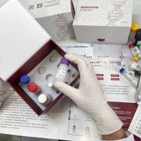 鱼（Fish）线粒体呼吸链复合物V（complex V）ELISA检测试剂盒