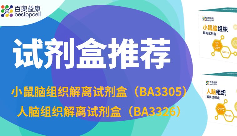 产品推荐 | 百奥益康脑组织解离试剂盒：人鼠专属设计，打造单细胞悬液制备优质方案