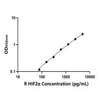 大鼠低氧诱导因子2α(HIF2α)ELISA试剂盒