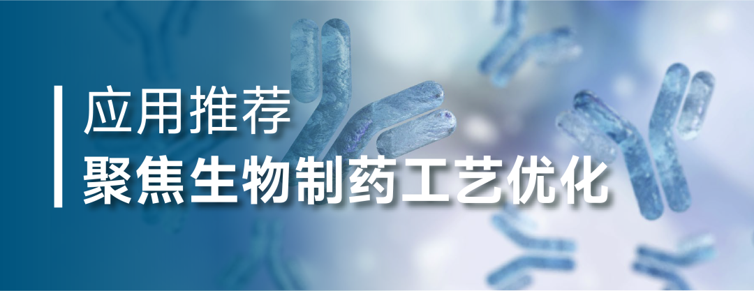 高纯度单克隆抗体回收的工艺优化方案