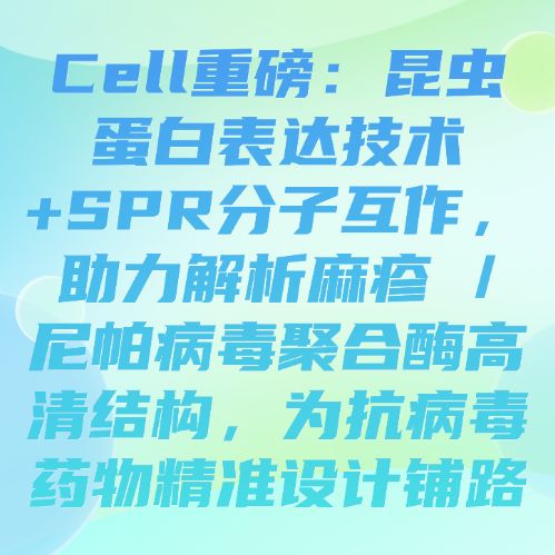 Cell重磅：昆虫蛋白表达技术+SPR分子互作