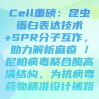 Cell重磅：昆虫蛋白表达技术+SPR分子互作