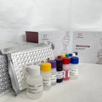 鱼(Fish)超氧化物歧化酶(SOD)ELISA检测试剂盒