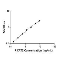 大鼠阳离子氨基酸转运蛋白2(CAT2)ELISA试剂盒