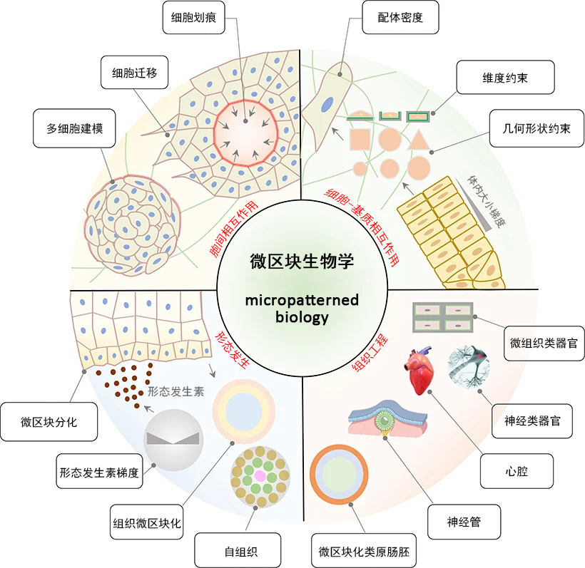新闻图片7