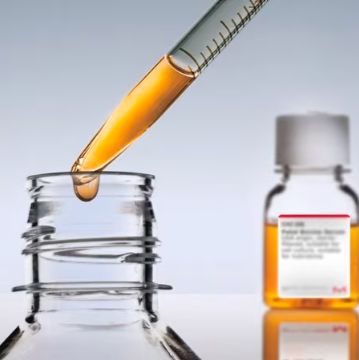 Fetal Bovine Serum, Australia, 澳洲胎牛血清