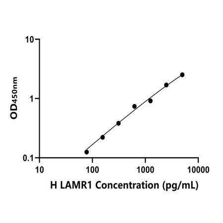 人层粘连蛋白受体1(LAMR1)ELISA试剂盒