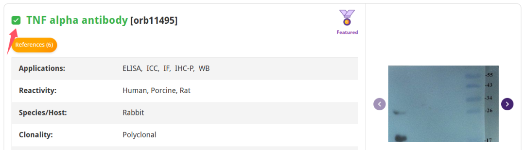 【Biorbyt对比功能上线】文献、图片、参数同屏比，选品快人一步！