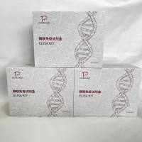 鸽(Dove)γ干扰素(IFN-γ)ELISA检测试剂盒