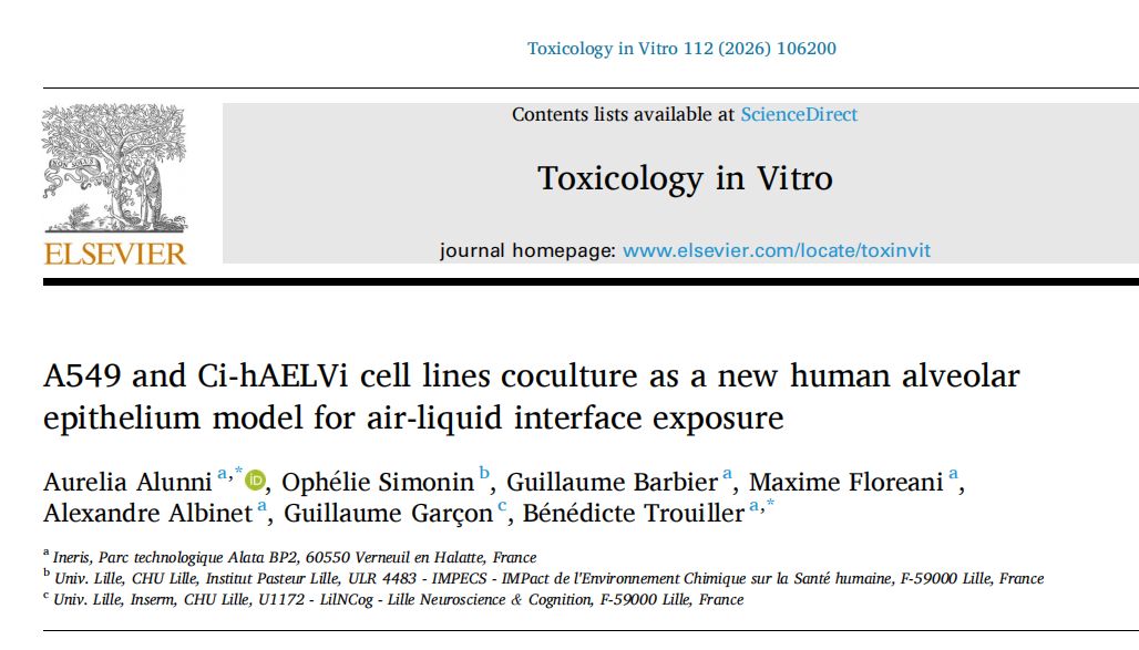 A549与Ci-hAELVi细胞共培养：一种用于气液界面暴露的新型人肺泡上皮模型