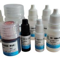 快速内切酶ApaI-HF