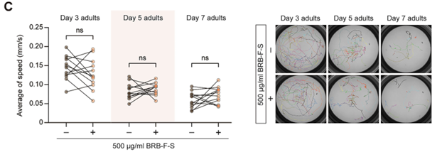 香菇发酵黑米糠在秀丽隐杆线虫中的抗肥胖及健康促进作用