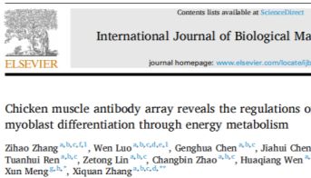 ArrayJet微阵列生物芯片点样仪制备抗体芯片用于能量代谢对骨骼肌发育机制的研究