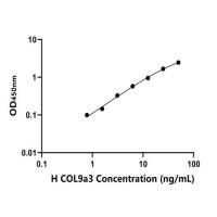 人Ⅸ型胶原α3(COL9a3)ELISA试剂盒