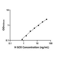 人葡萄糖激酶(GCK)ELISA试剂盒
