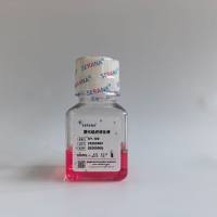 原代组织消化液