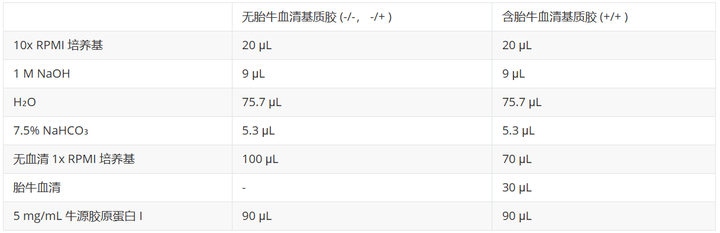 新闻图片3