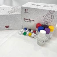 红辣椒脉斑驳病毒(ChiVMV)ELISA检测试剂盒