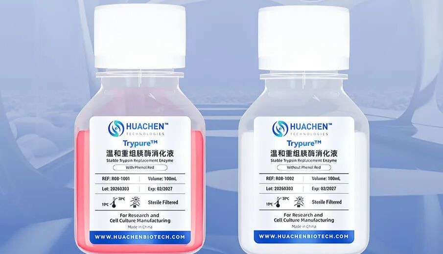 新品发布 | 细胞培养迎来“温和”新选择，华辰生物Trypure™温和重组胰酶消化液正式发布
