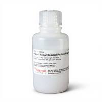 赛默飞 20365/20366  Pierce™ 重组蛋白 A 琼脂糖  