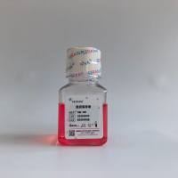 组织保存液(无血清）