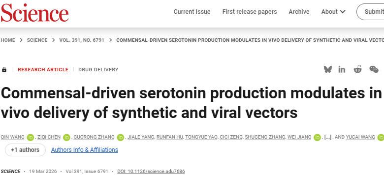 Science：库普弗细胞（Kupffer Cells）-肠-肝轴限制体内递送系统（IDS）效率的底层机制