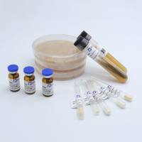 BNCC363610普氏栖粪杆菌Faecalibacterium prausnitzii