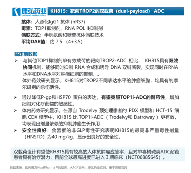 靶点为锚 双载荷聚力：双Payload ADC靶点布局密码