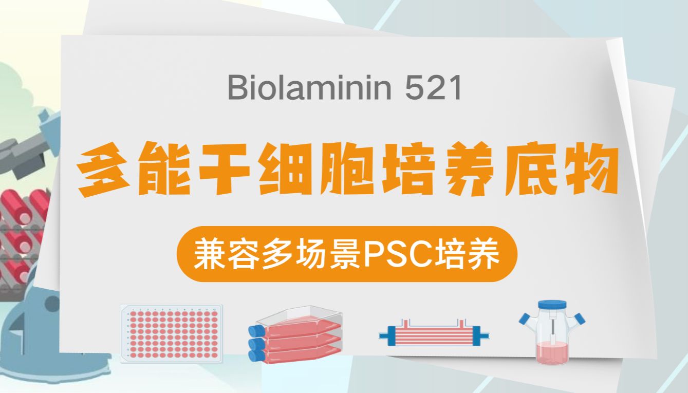 BioLamina中国官方代理｜人类重组层粘连蛋白｜曼博生物