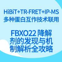 HiBiT+TR-FRET+IP-MS 多种蛋白互作技术联用：FBXO22 降解剂的发现与机制解析全攻略