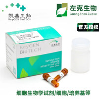 增强型WB抗体稀释液