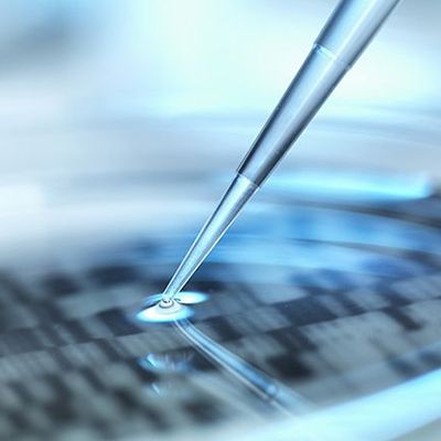 类器官基因检测