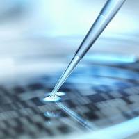 类器官基因检测