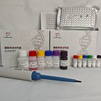 贝类(Shellfish)酪蛋白激酶2(CK2)ELISA检测试剂盒