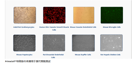 养细胞 5.png 养细胞 5.png