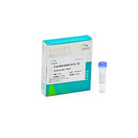 Streptavidin-TRITC