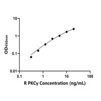 大鼠蛋白激酶Cγ(PKCγ)ELISA试剂盒