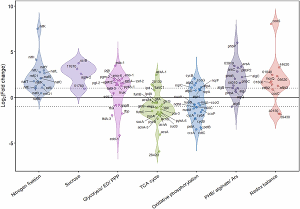 ApogeeFlow纳米流式仪文章分享,英美科研团队发表“Characterising complex metabolic responses in an engineered, cross-feeding microbial co-culture using quantitative proteomics” 报告