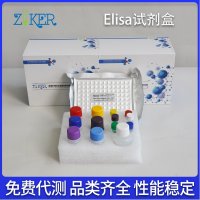 人血管内皮生长因子受体3(VEGFR3)ELISA检测试剂盒