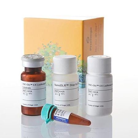 Nano-Glo® Dual-Luciferase® 报告基因检测系统