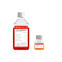 人间充质干细胞高效扩增试剂盒