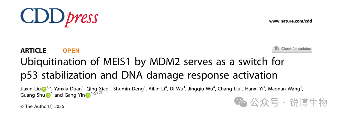 Nature子刊｜MDM2对MEIS1的泛素化作为p53稳定和DNA损伤响应激活的开关