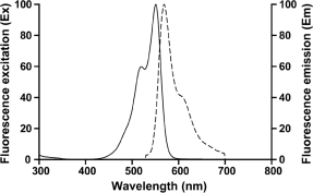 细胞膜红色荧光染色试剂盒（DiI）